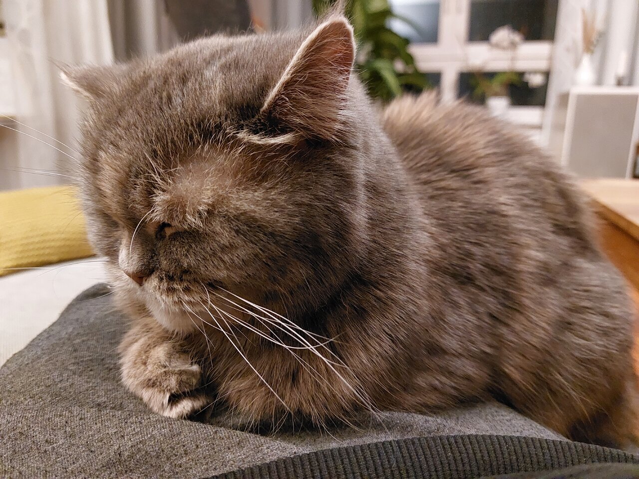 20230308_231550.jpg