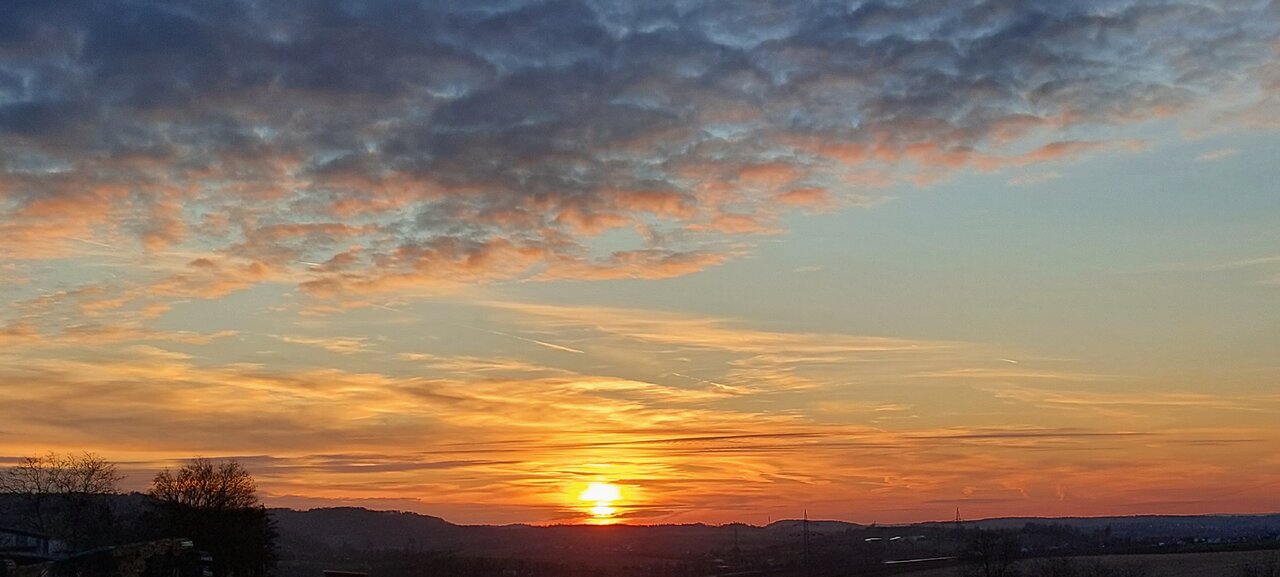 20230311_181408.jpg