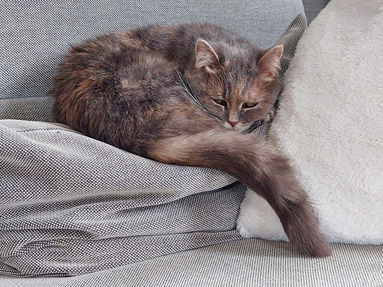 20230321_155020.jpg