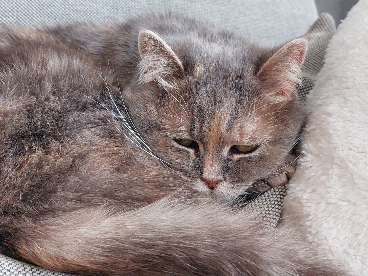 20230321_155038.jpg