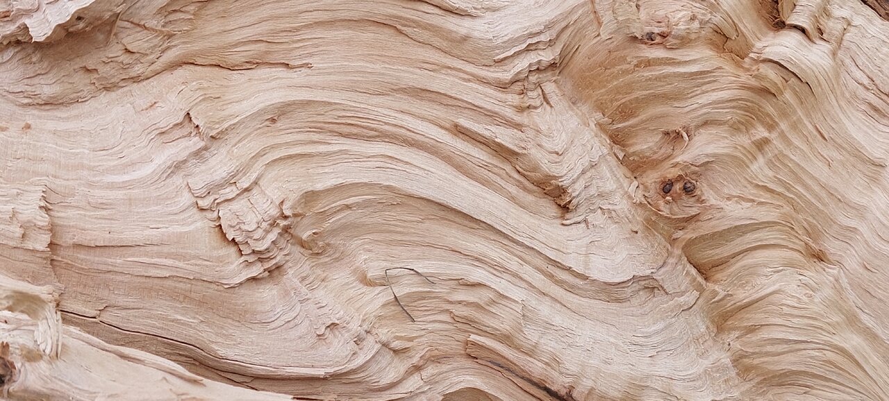 20230329_100012.jpg