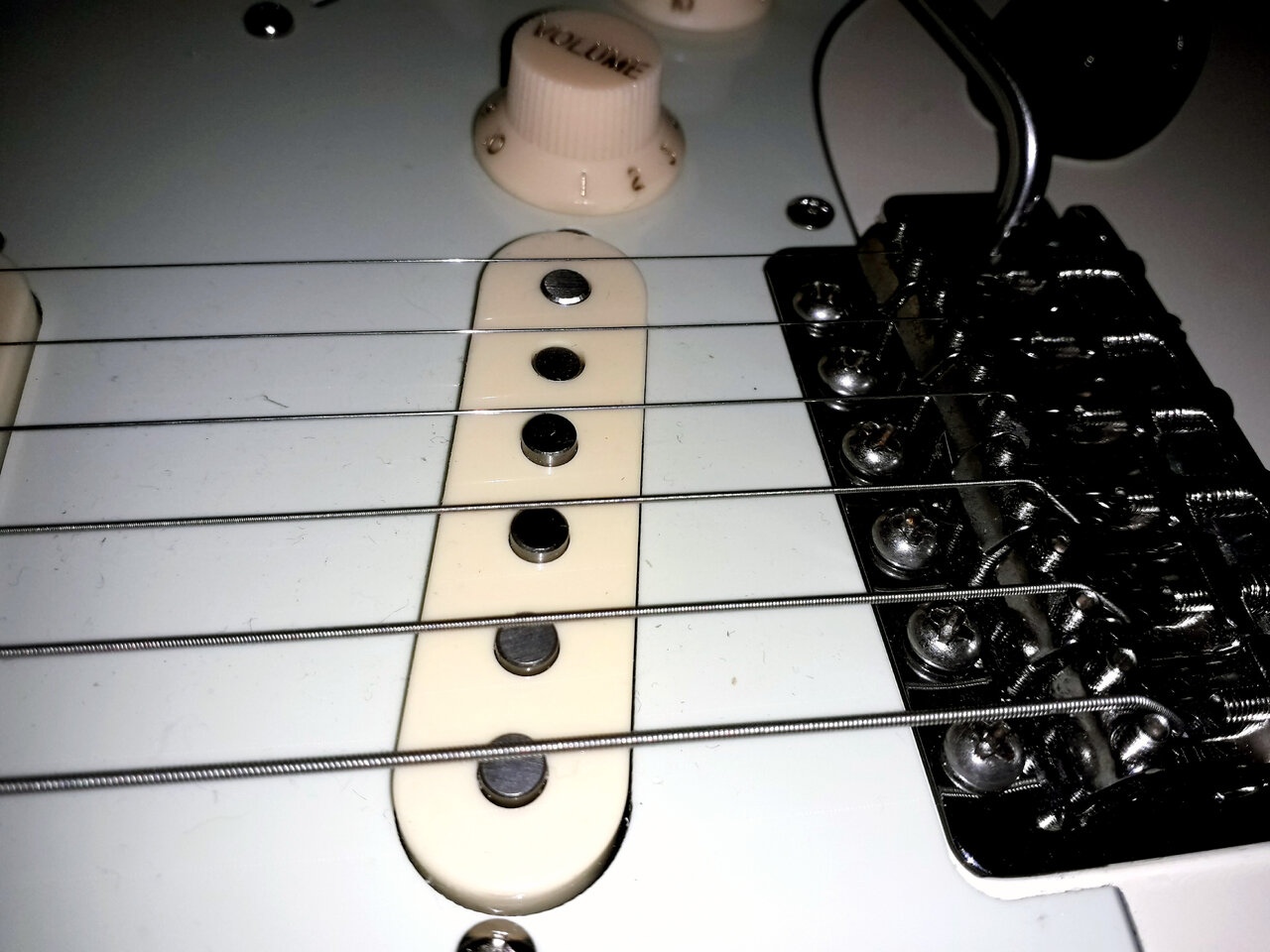 20230426_130118.jpg