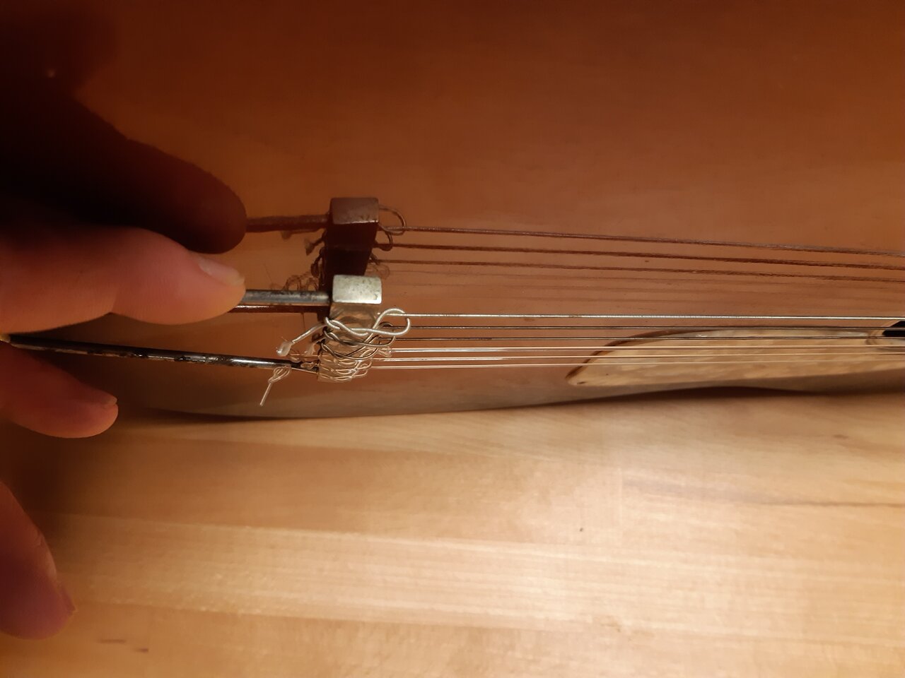 20230510_201809.jpg