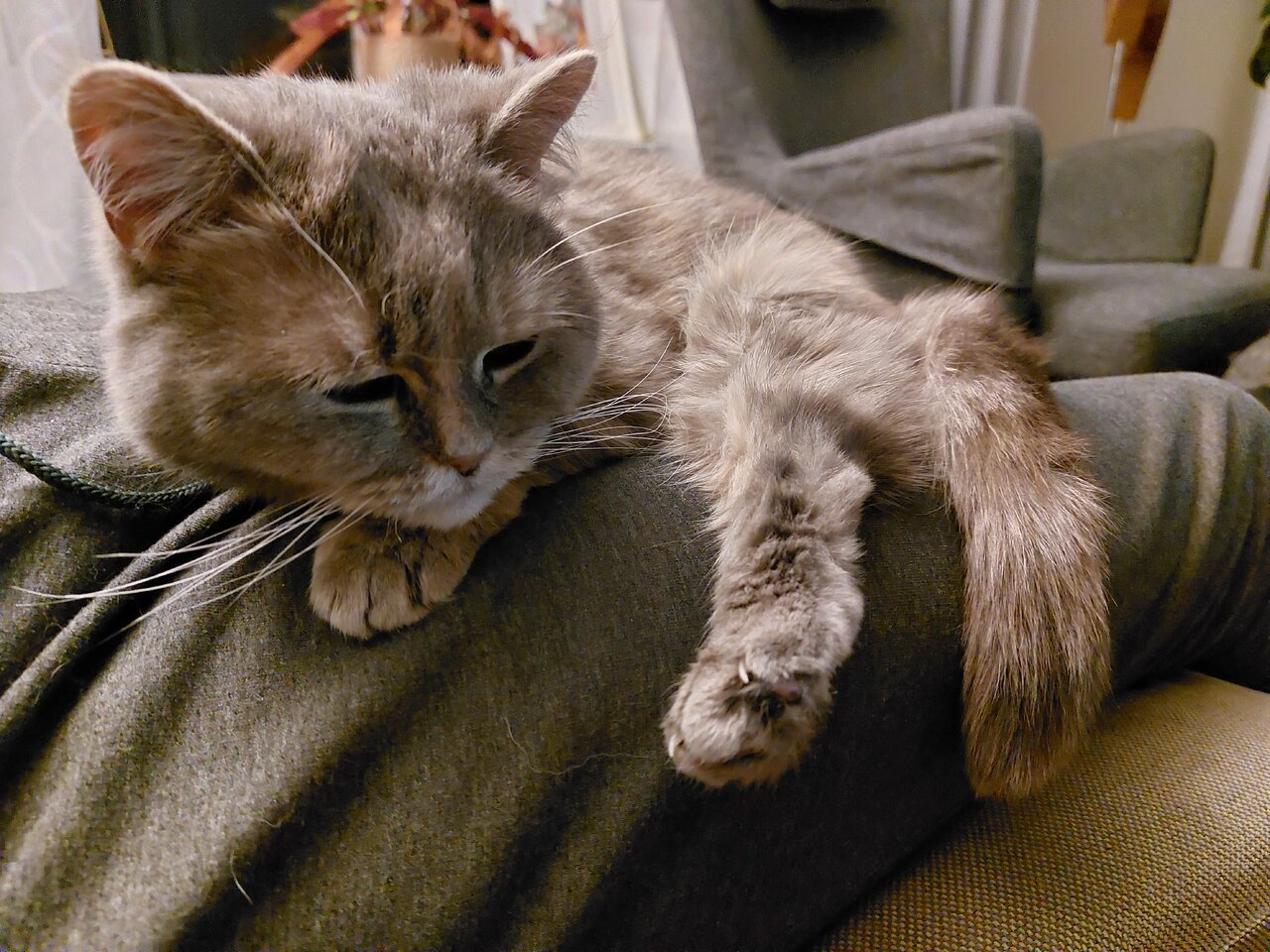 20230528_222522.jpg