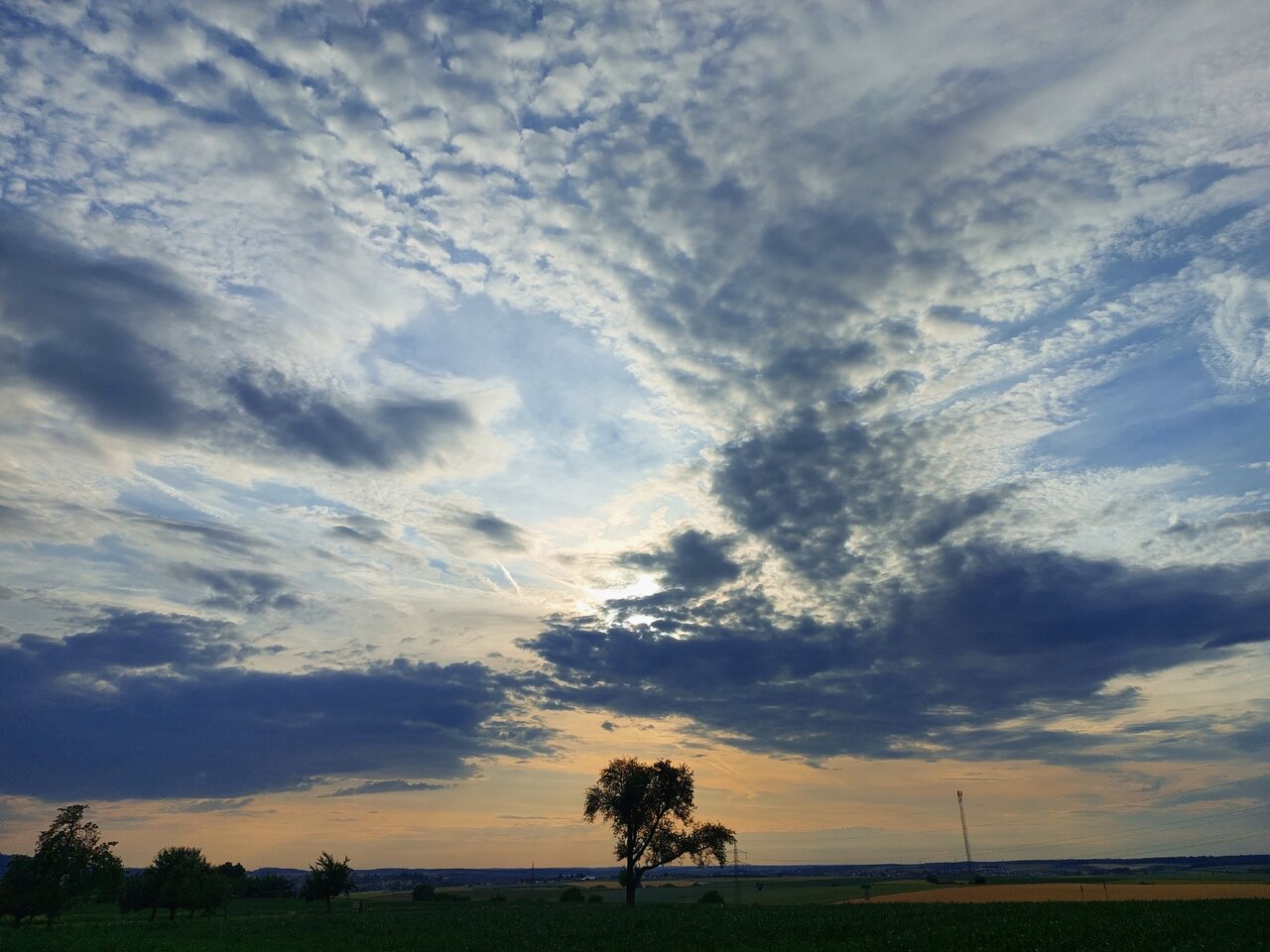 20230619_194852.jpg