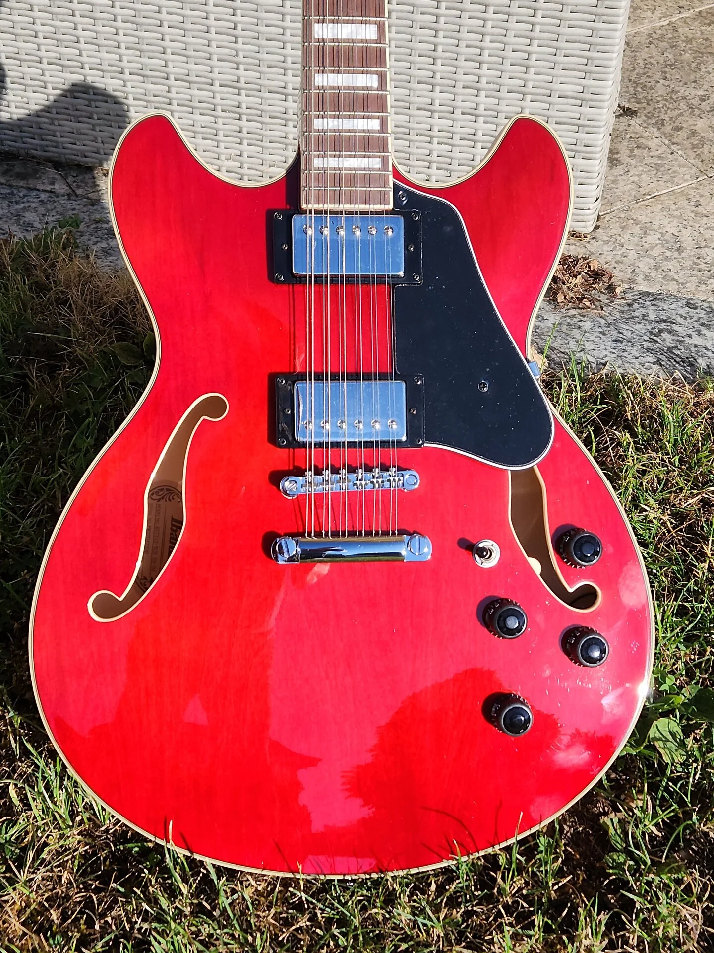 20230629_074657 50 72.jpg