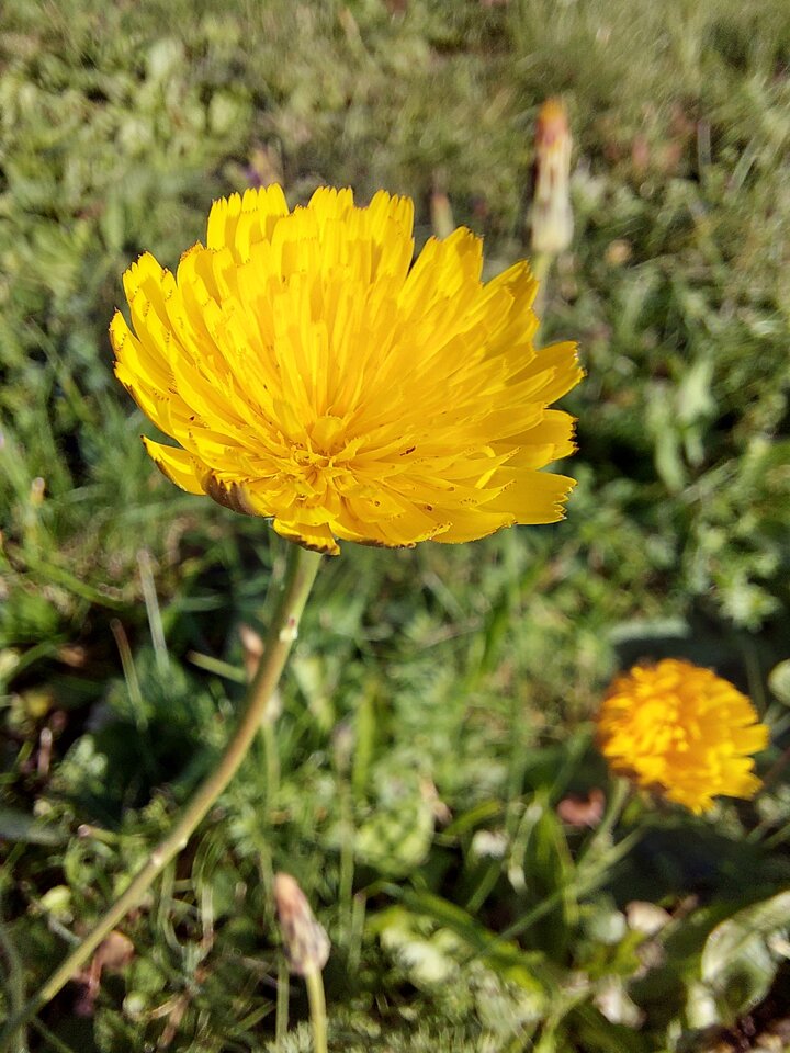 20231002_103003.jpg