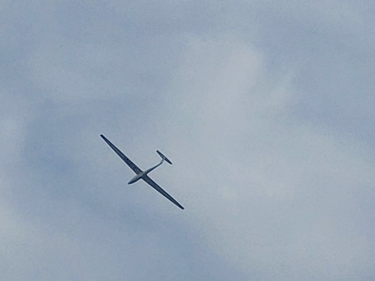 20231003_112255.jpg