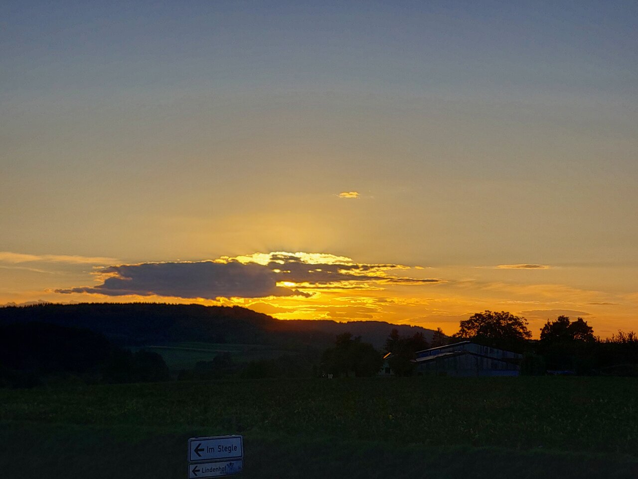20231015_181044.jpg