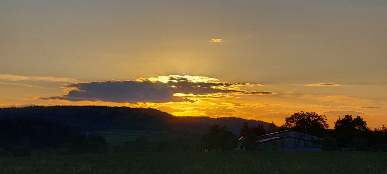 20231015_181052.jpg