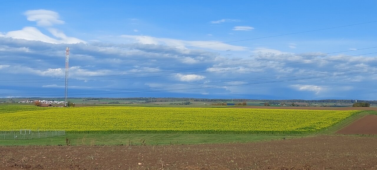 20231030_094847.jpg