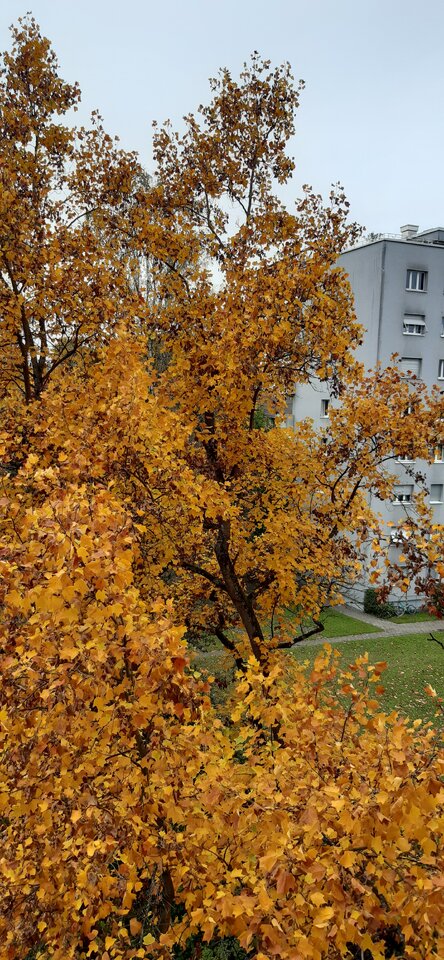 20231030_120706.jpg