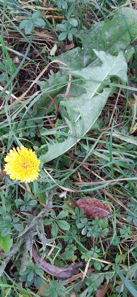 20231030_152426.jpg