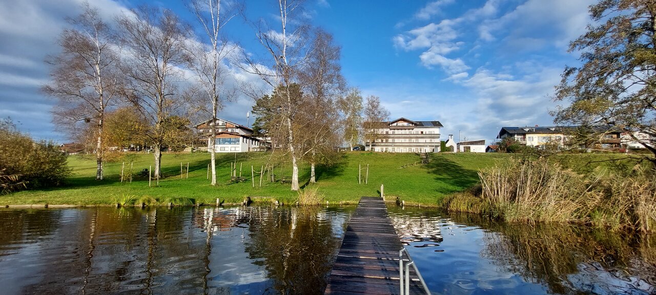 20231105_082429.jpg