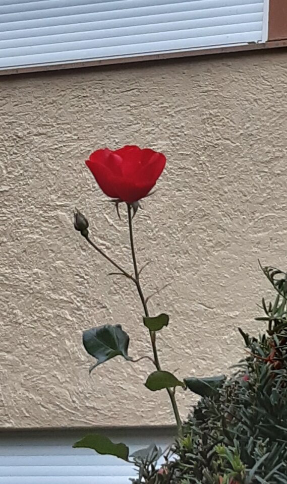 20231106_161951.jpg