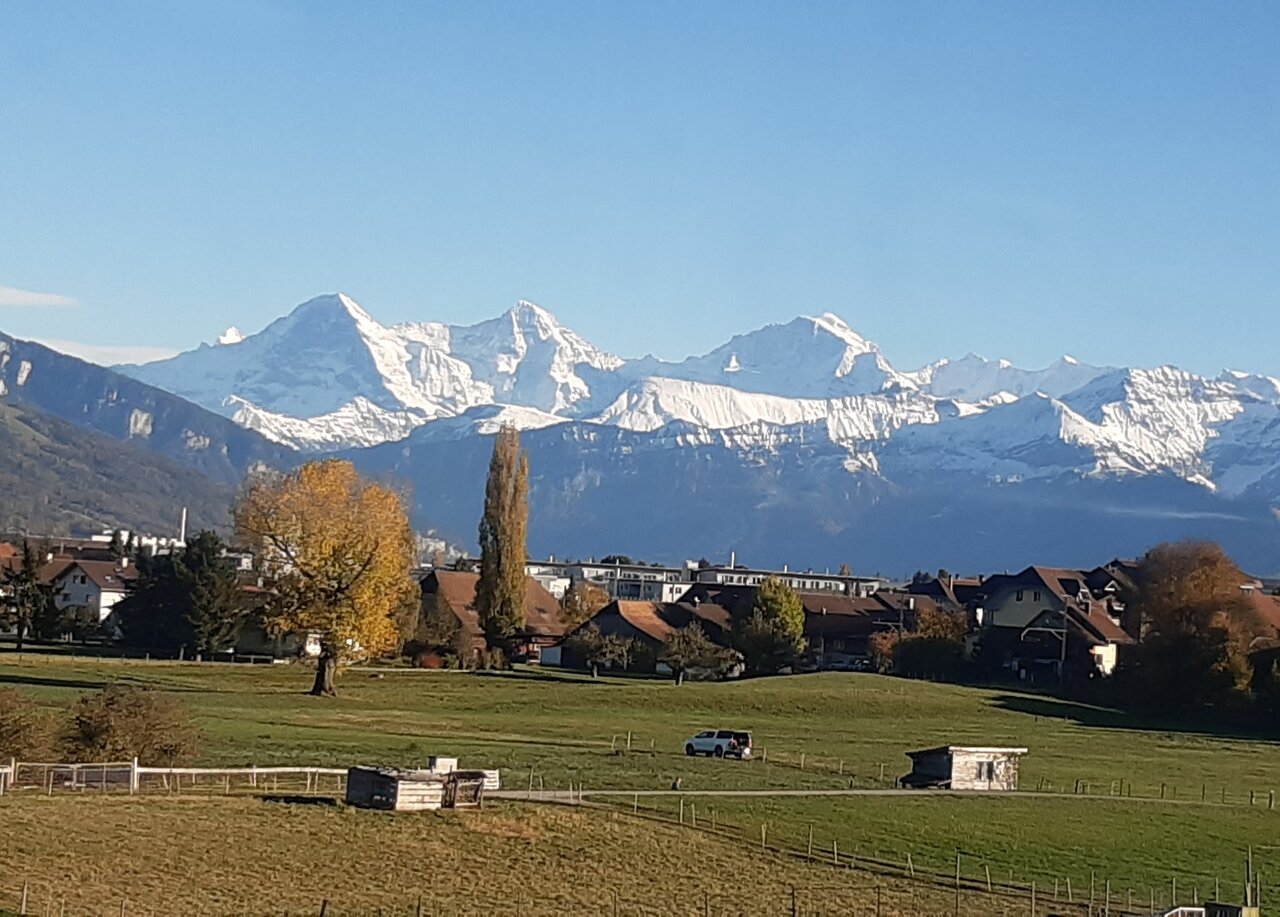 20231108_151253.jpg