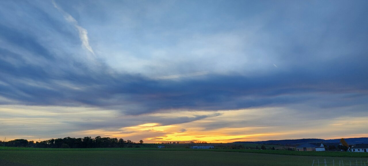 20231109_073135.jpg