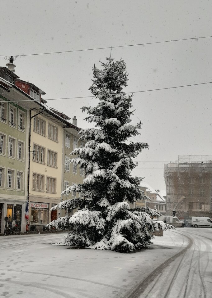 20231130_095352.jpg