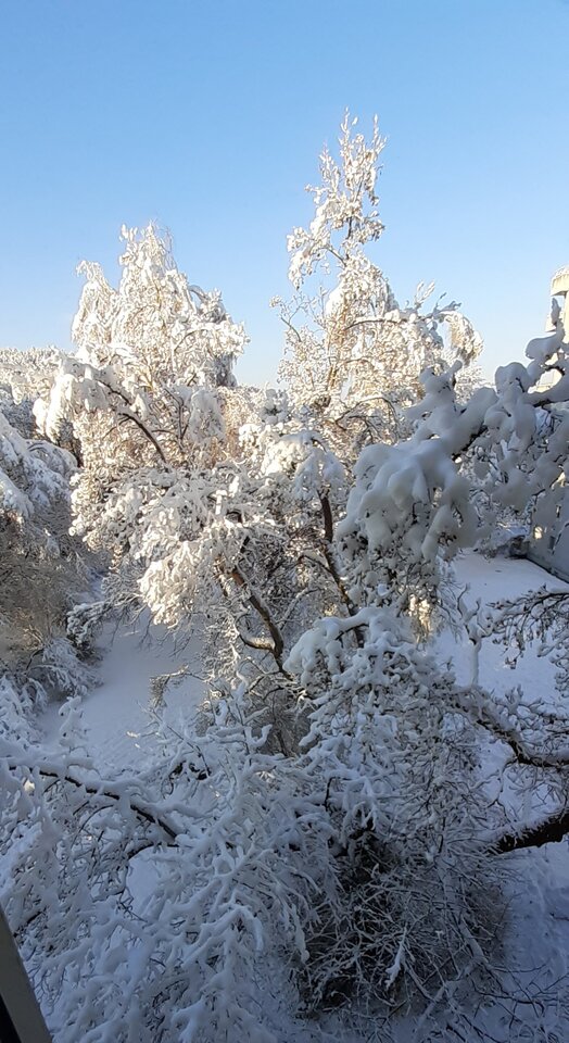 20231203_091849.jpg