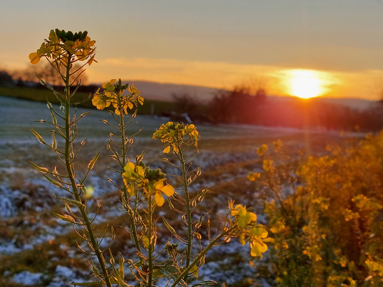 20231203_160452.jpg
