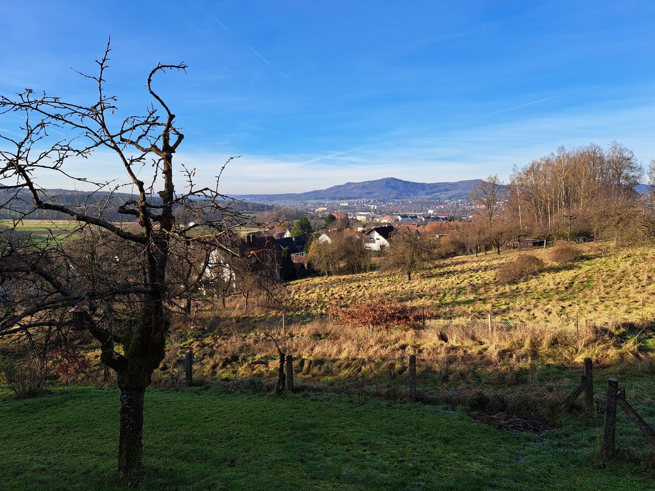 20231217_141756.jpg