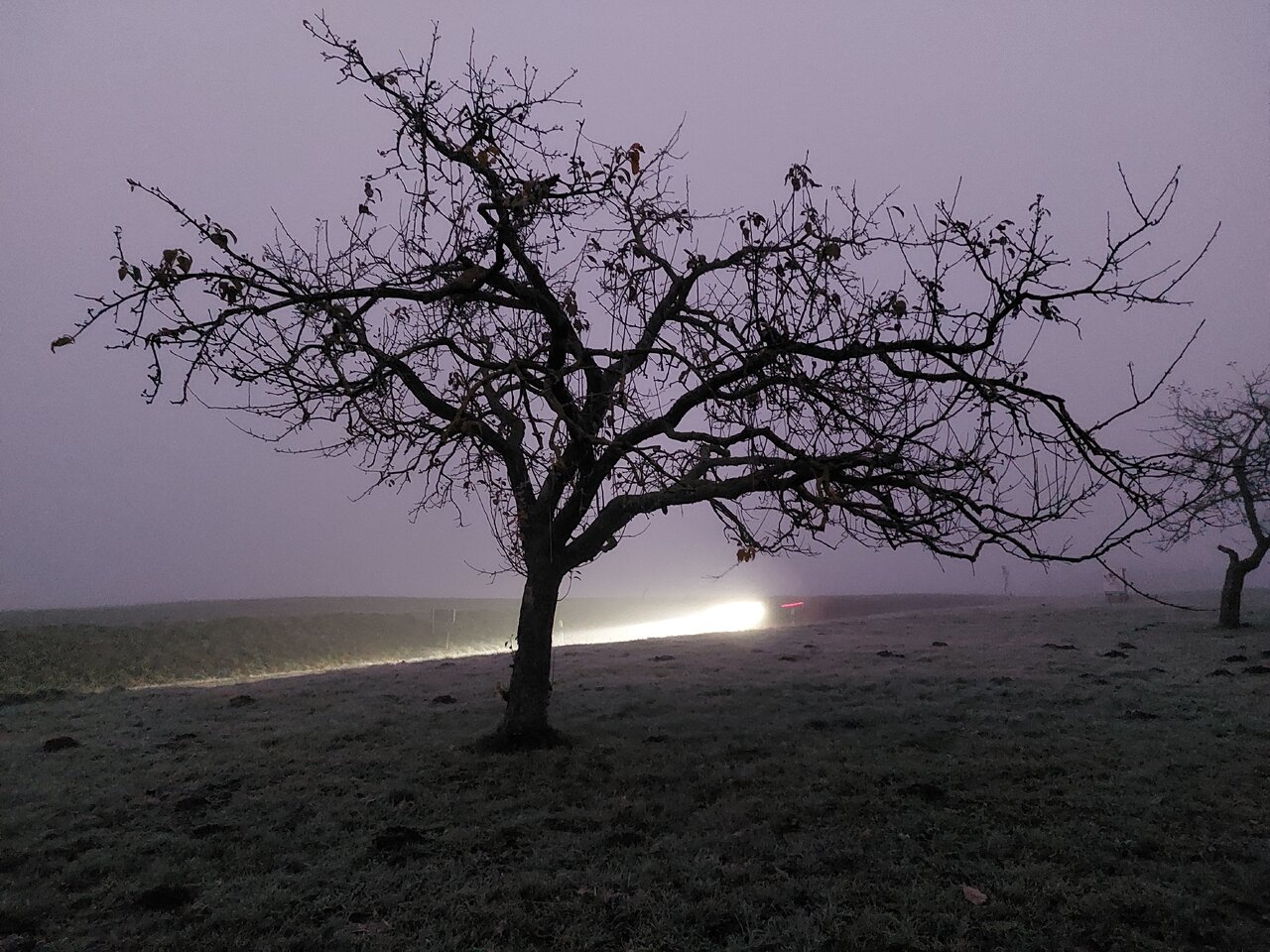 20231218_073355.jpg