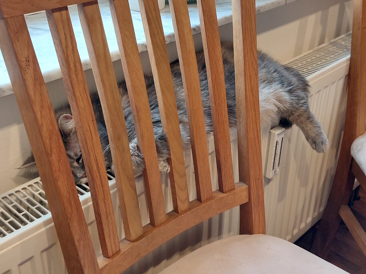 20231224_120827.jpg