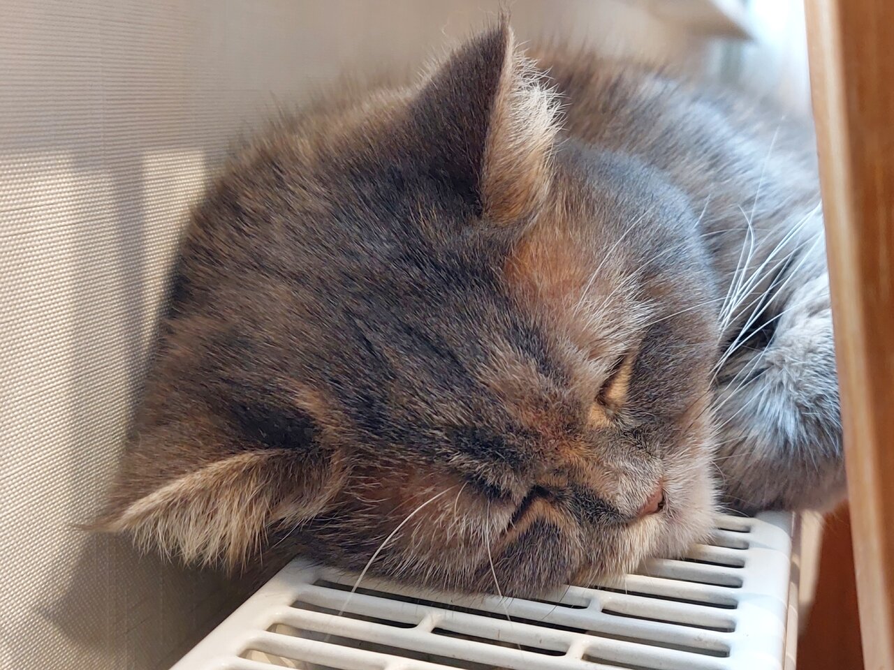 20231224_120841.jpg