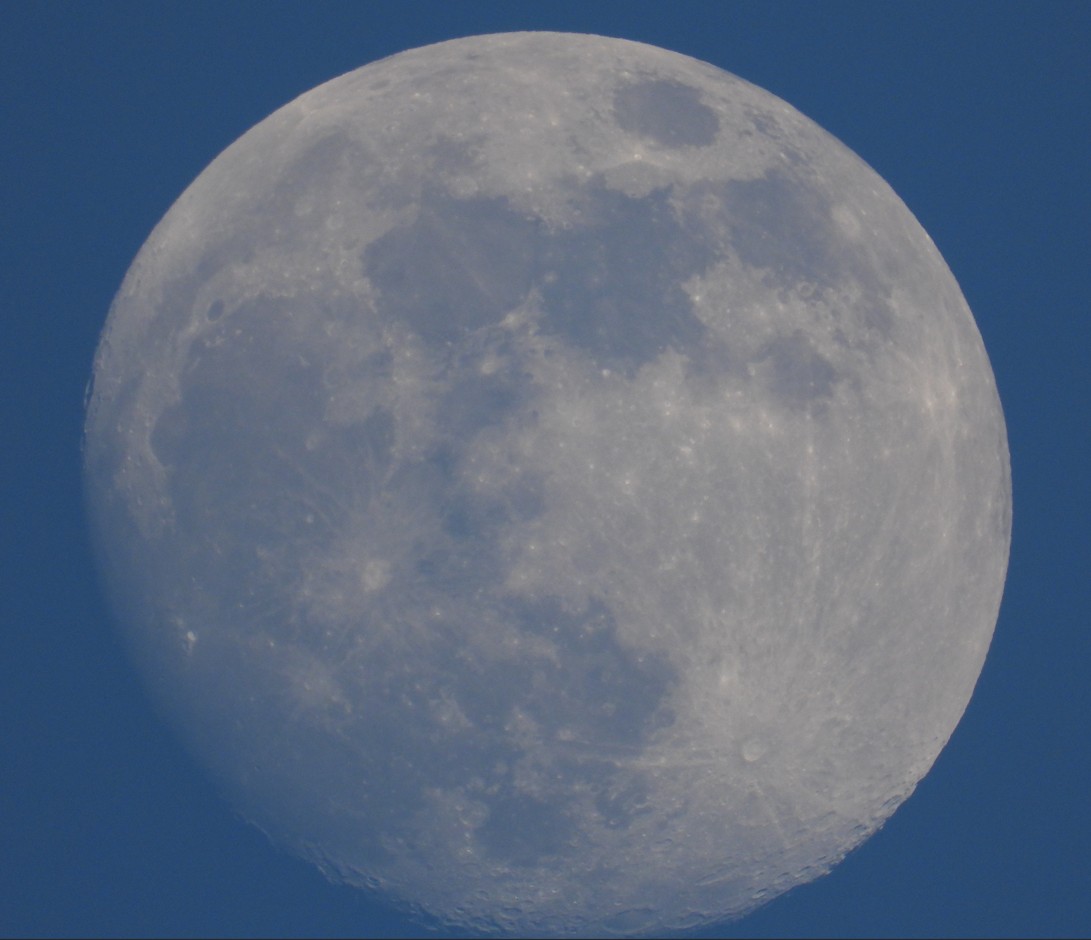 2024-04-21_195950.JPG