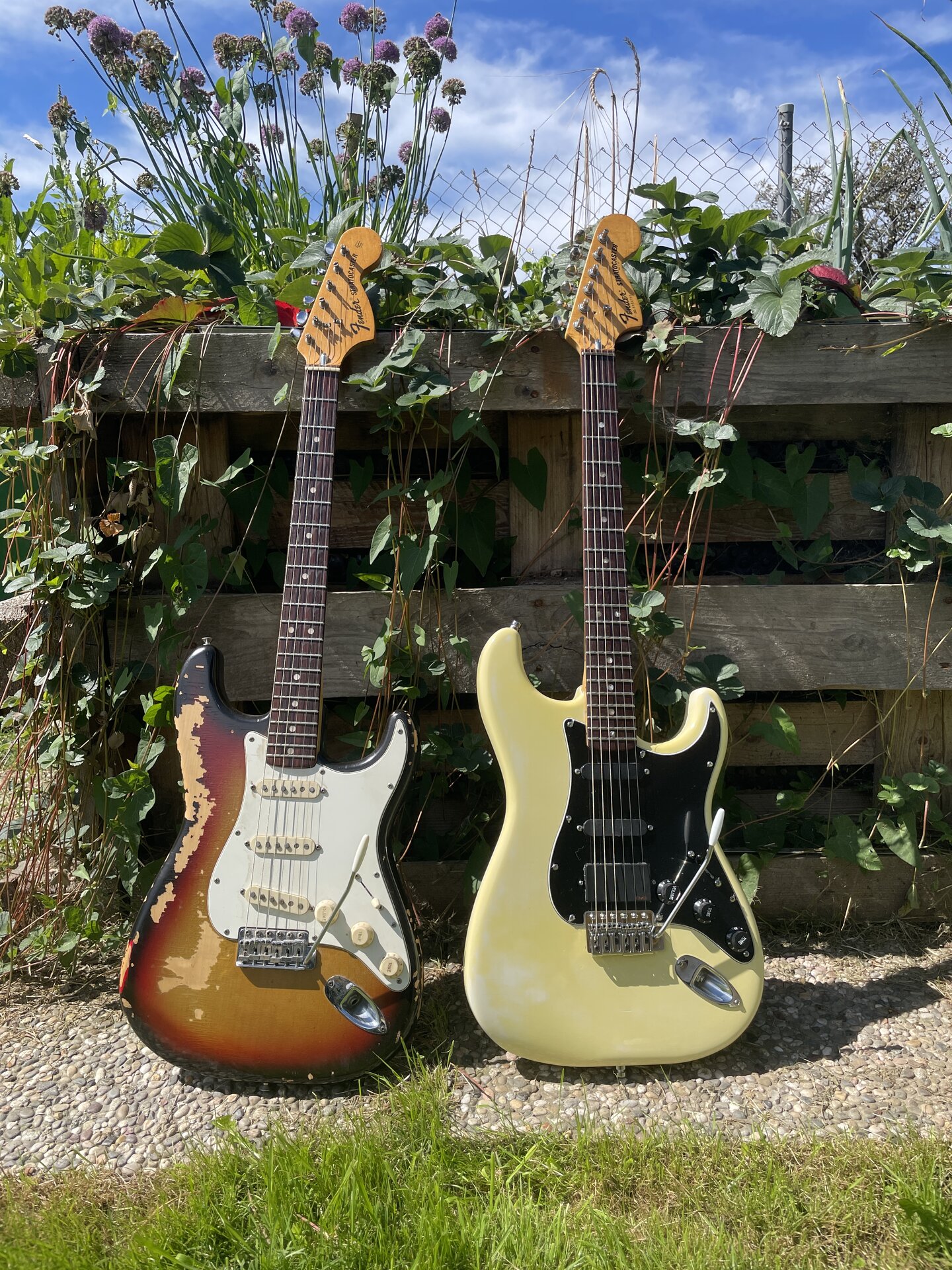 2024-08-09 12.01.04.jpg