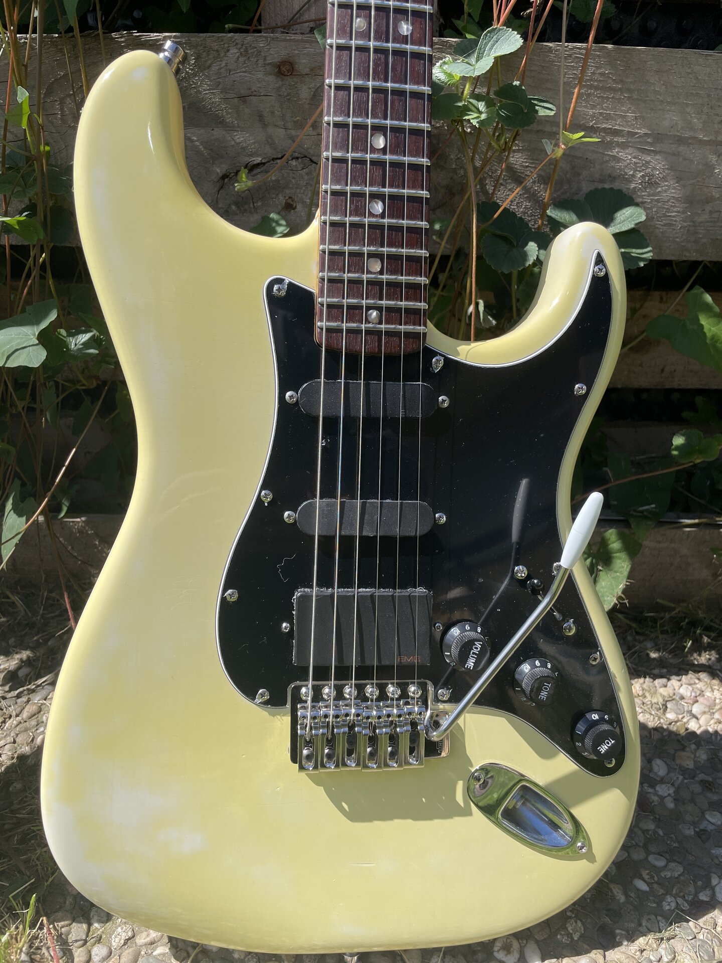 2024-08-09 12.01.40.jpg