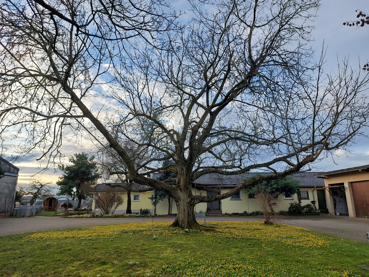 20240216_082013.jpg