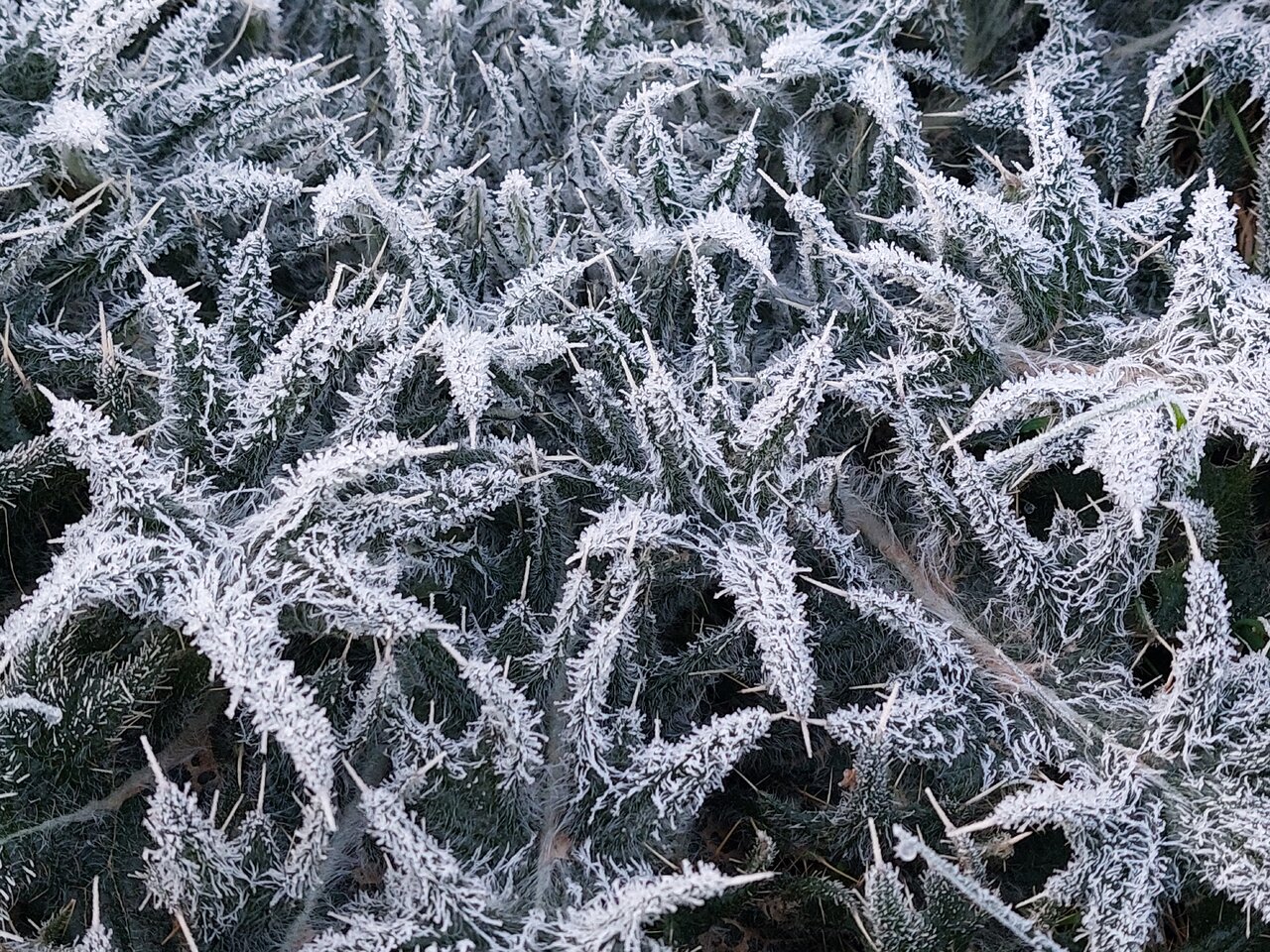 20240229_070822.jpg