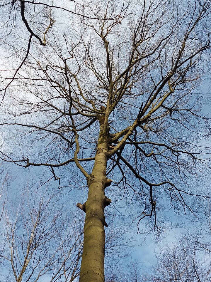20240303_161859.jpg