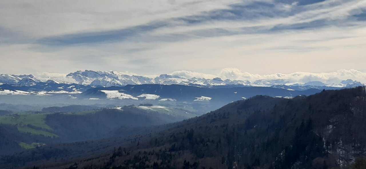 20240309_120628.jpg