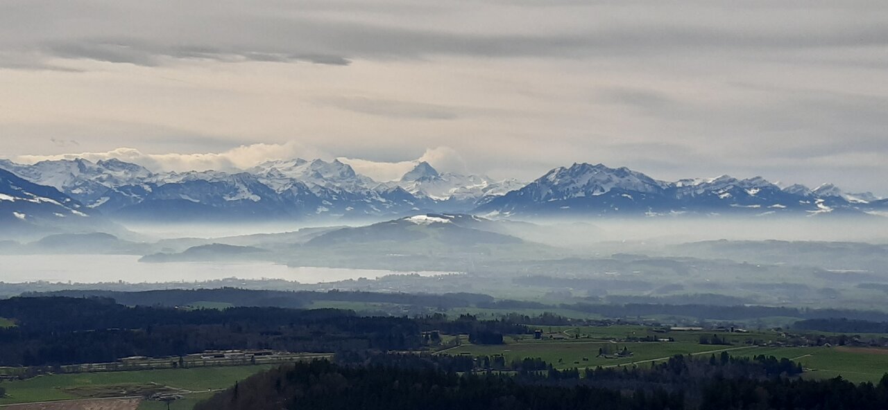 20240309_120717.jpg