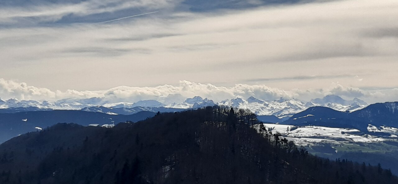 20240309_120741.jpg
