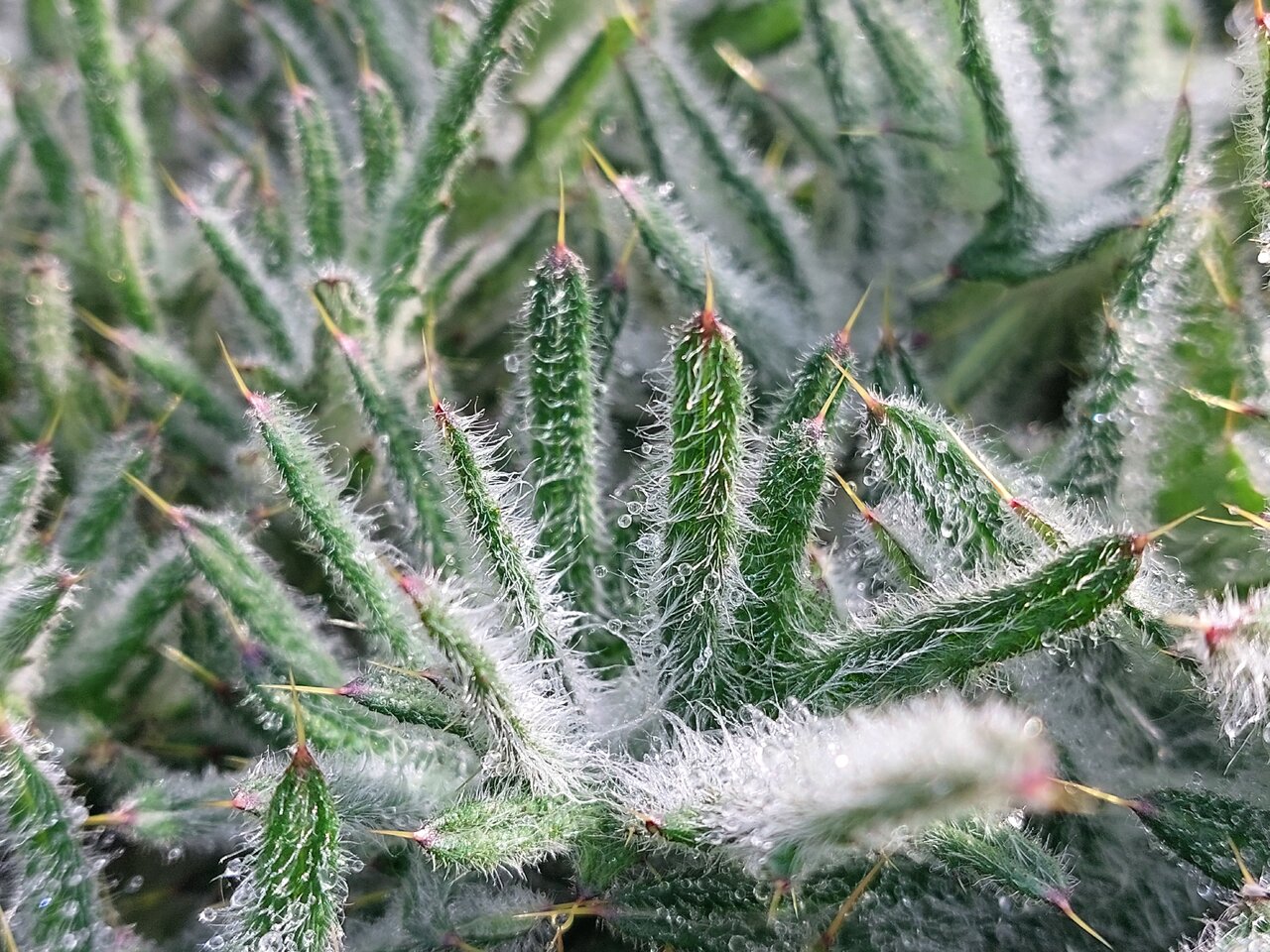 20240314_113726.jpg