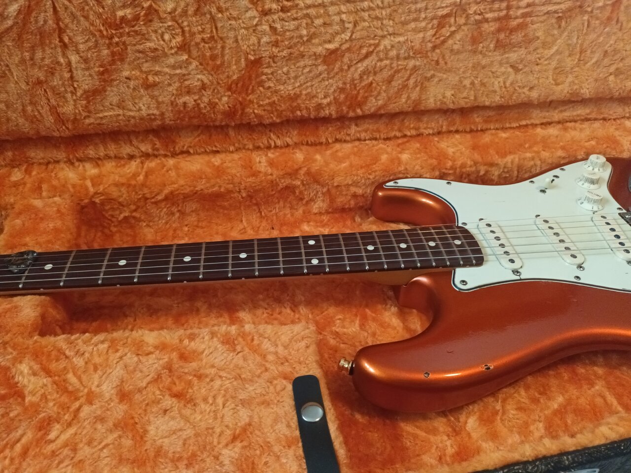 20240401_111335.jpg