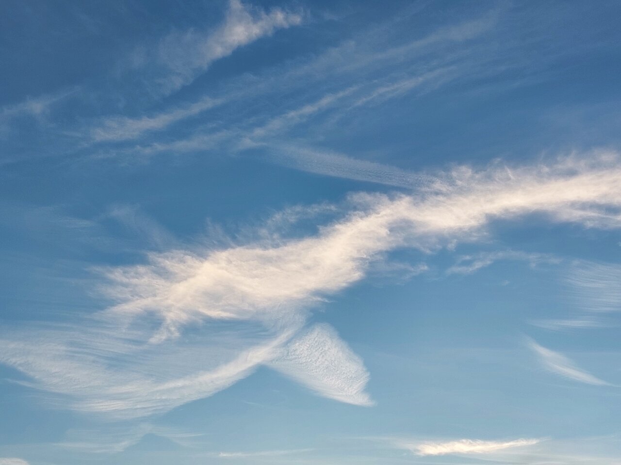 20240412_195742.jpg