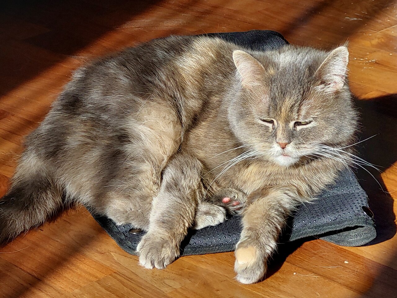 20240413_092155.jpg