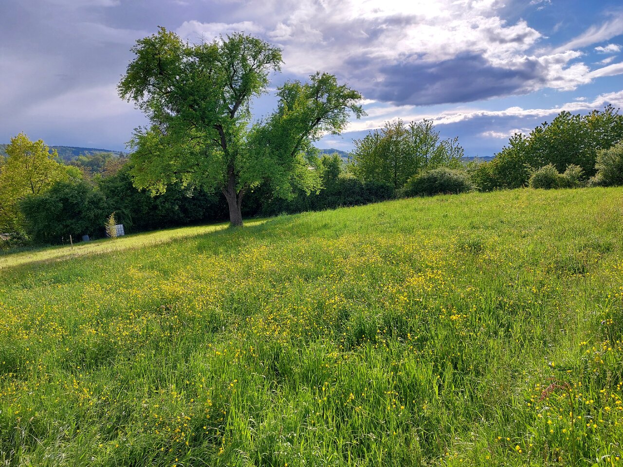 20240424_175047.jpg