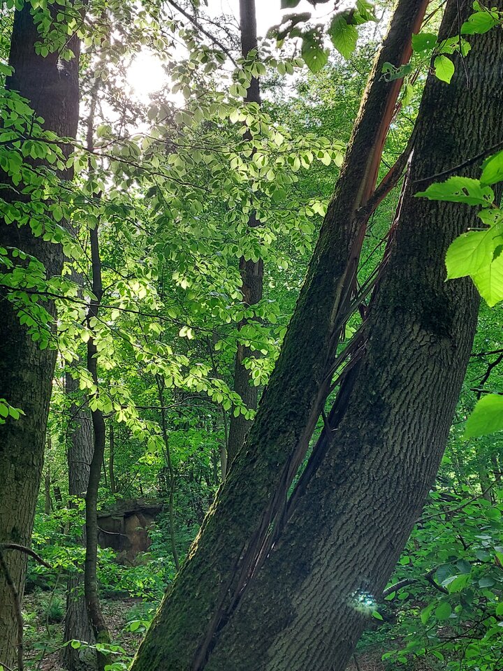 20240501_165129.jpg