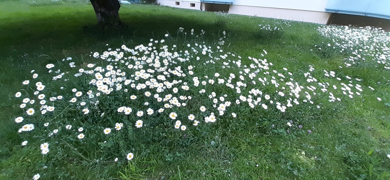 20240513_063822.jpg