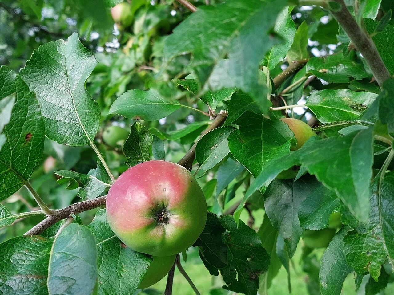 20240619_180154.jpg