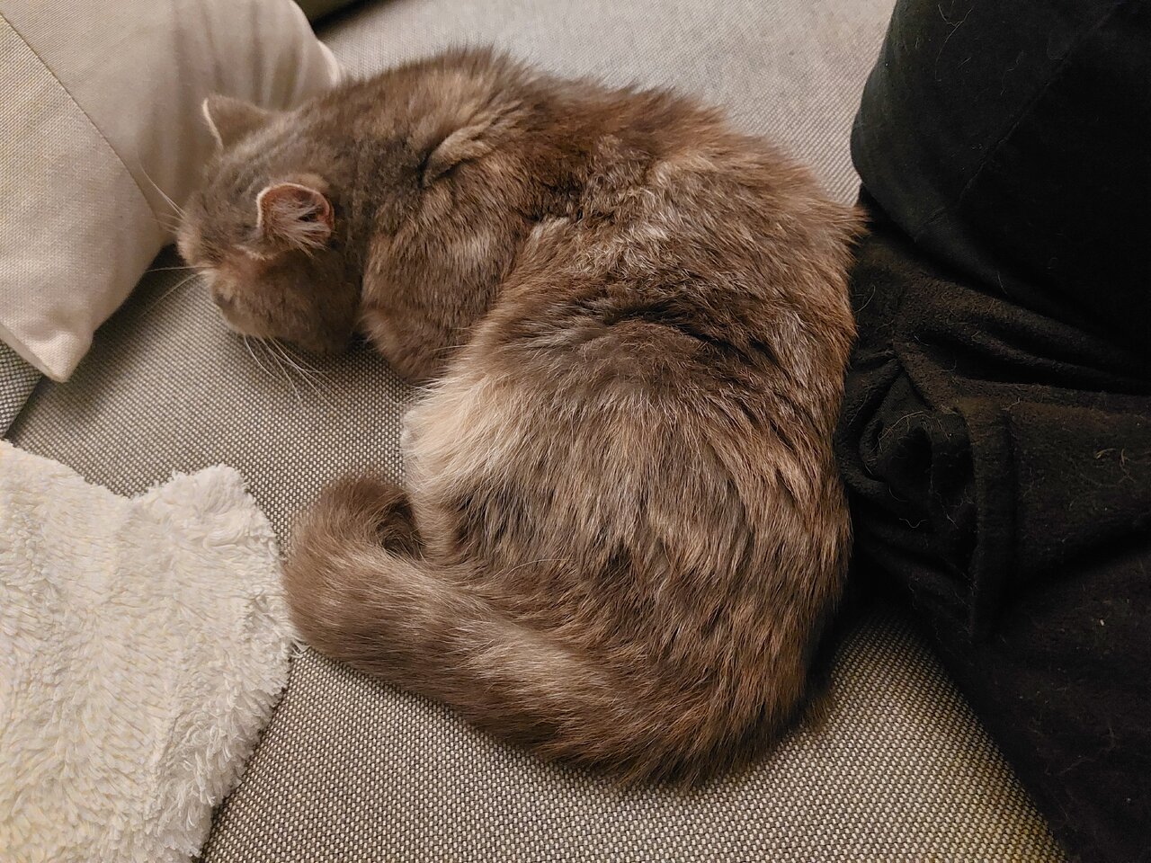 20240621_010554.jpg