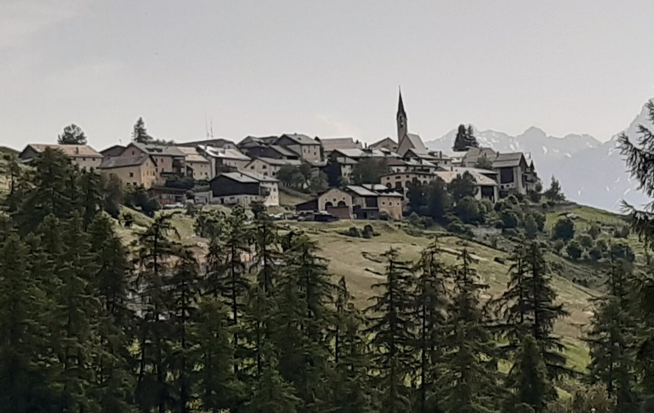 20240629_110622.jpg