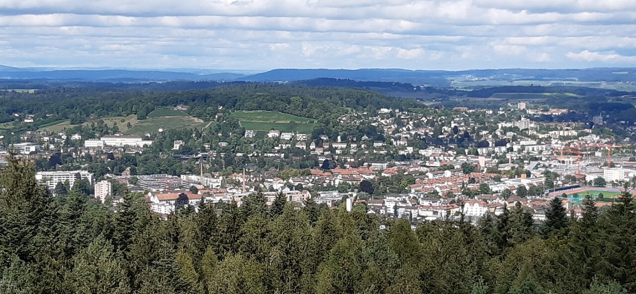 20240910_145213.jpg
