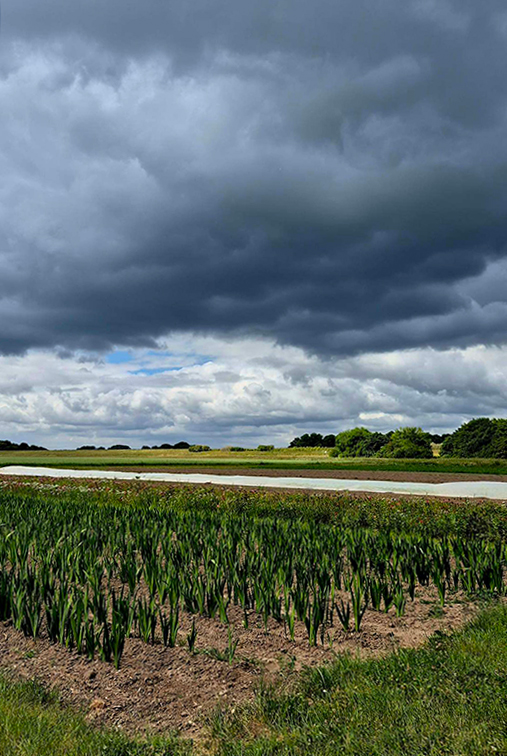 2025-05-24-Wolken.jpg