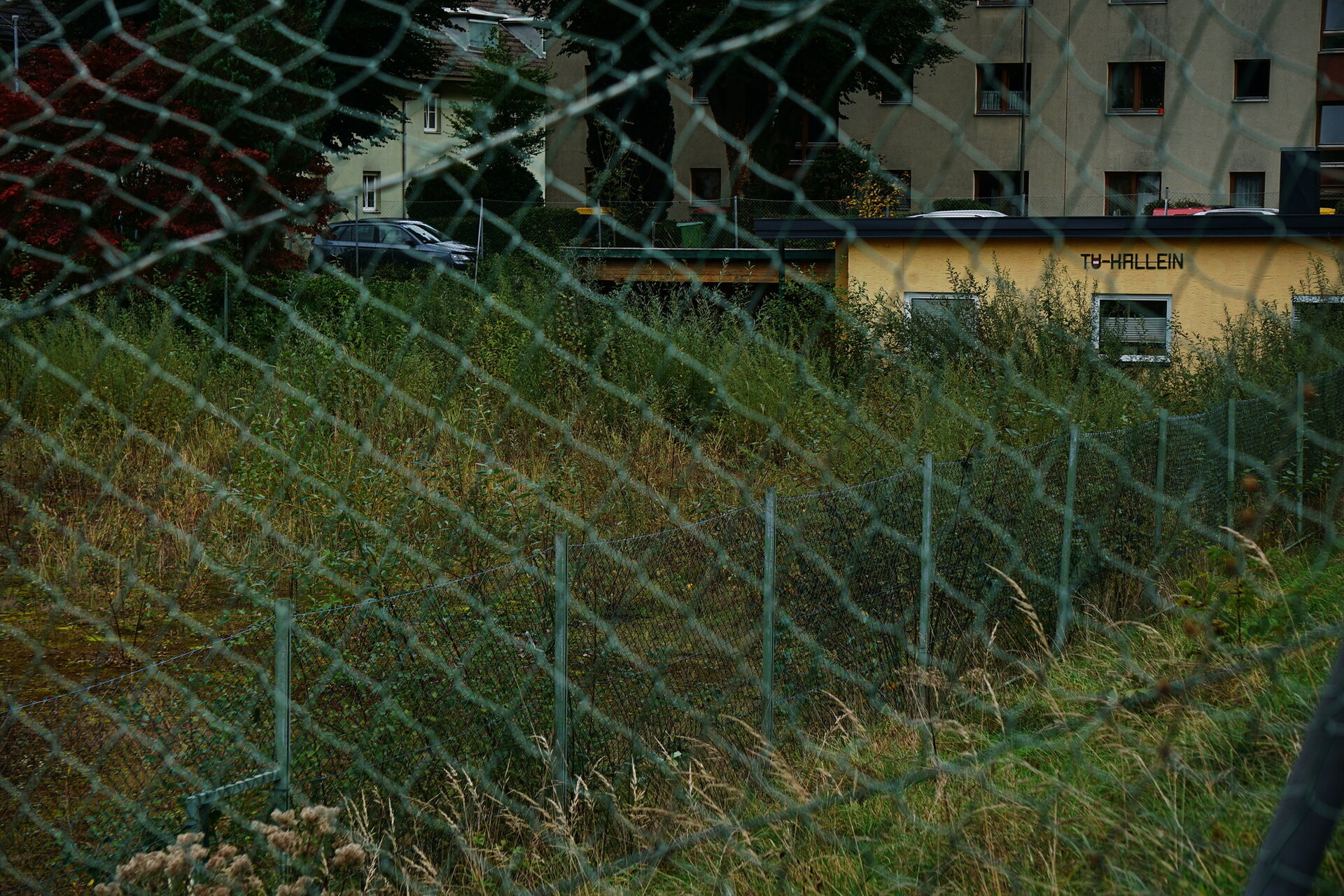2025-10-11 16-52-32_Bildgröße ändern.JPG